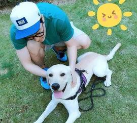 娱乐圈吃瓜小狗小说在线阅读