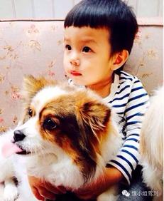 娱乐圈吃瓜小狗小说在线阅读