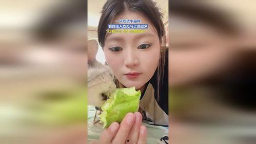 娱乐吃瓜酱小丫头,揭秘娱乐圈幕后故事