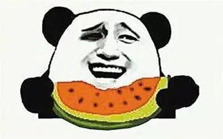 娱乐君吃瓜老绵羊,揭秘老绵羊背后的故事